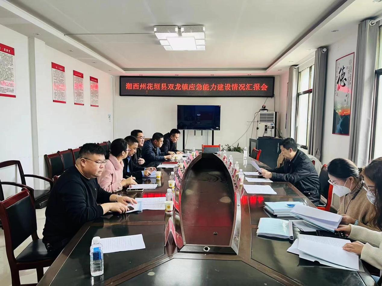 图1：在花垣县双龙镇开展座谈会.jpg